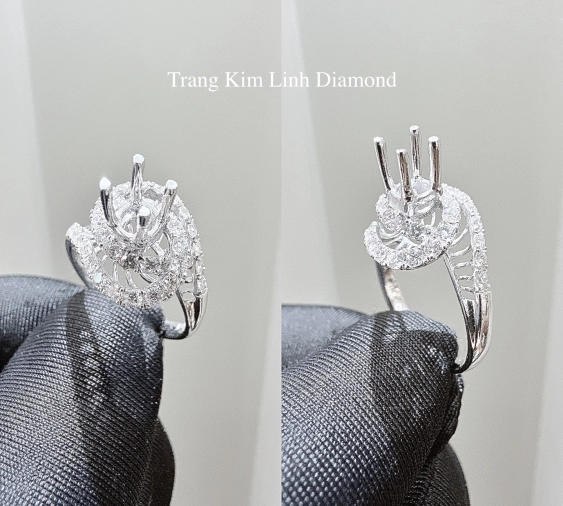 Vỏ Nhẫn Kim Cương NX244