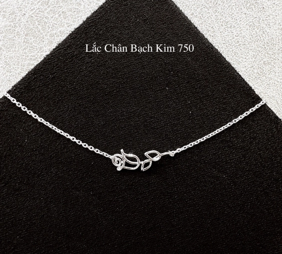 Lắc Chân Bạch Kim Italy 750 LC256